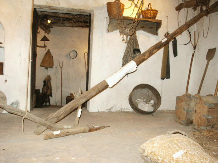 aradu i lignu