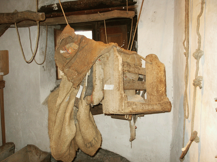 casci--i-lignu