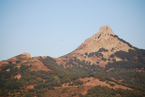 316.jpg