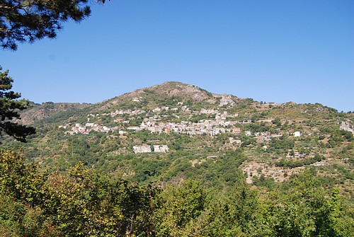 643.jpg