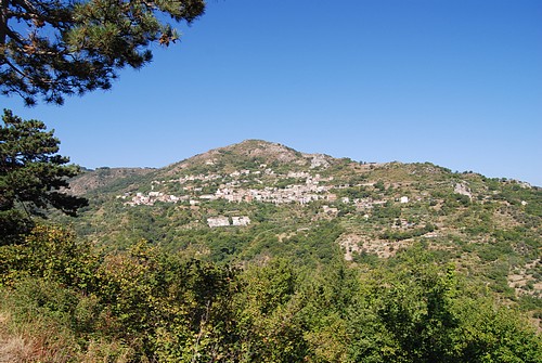 644.jpg