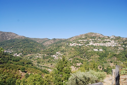 645.jpg