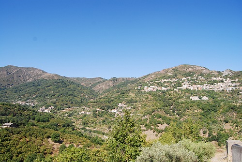 646.jpg