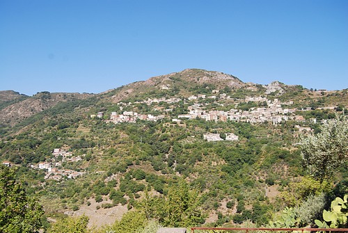 647.jpg