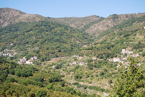 648.jpg