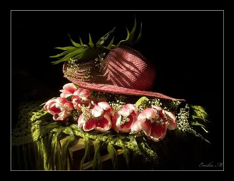 cappelli