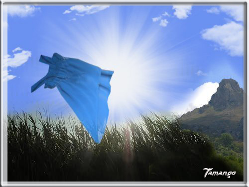 vestito