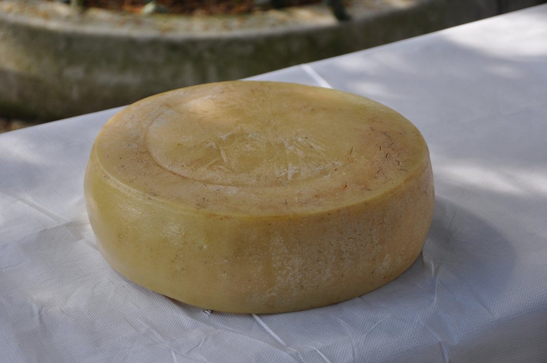 raduno2010