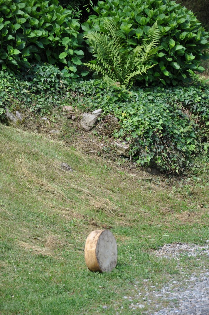 raduno2010