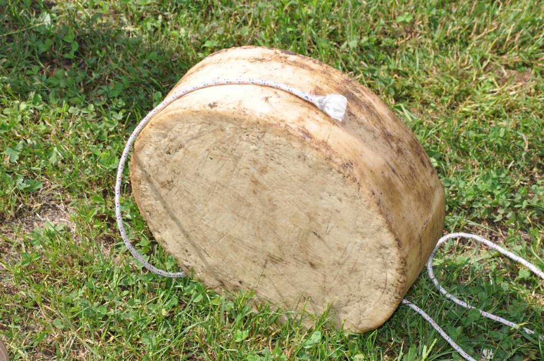 raduno2010