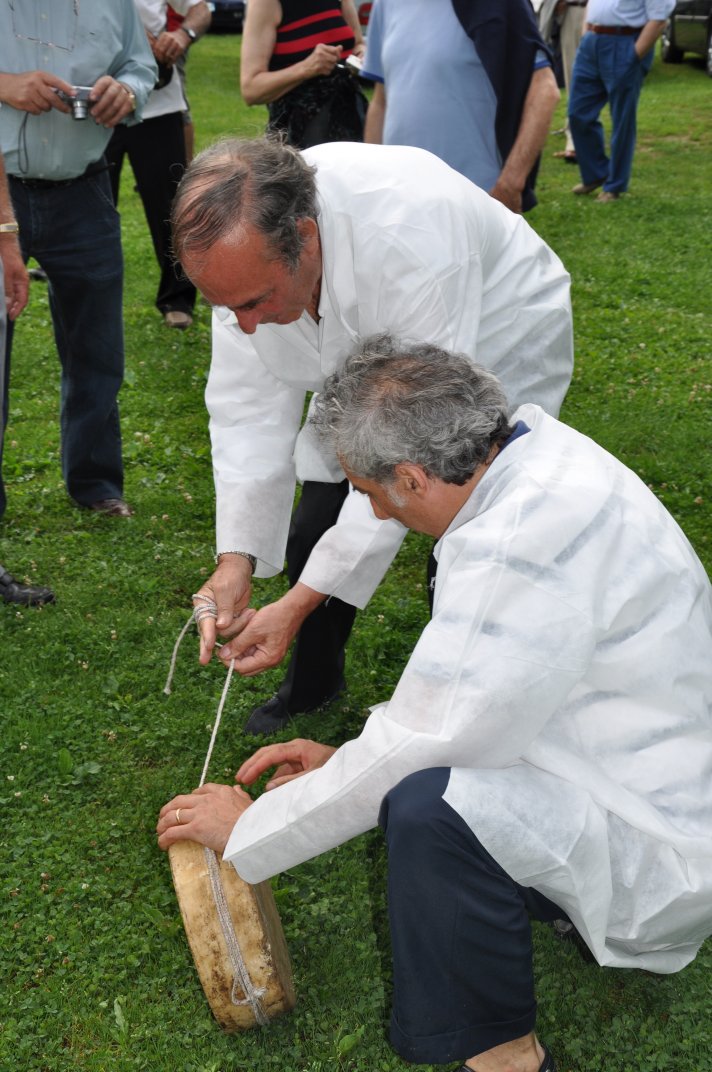 raduno2010