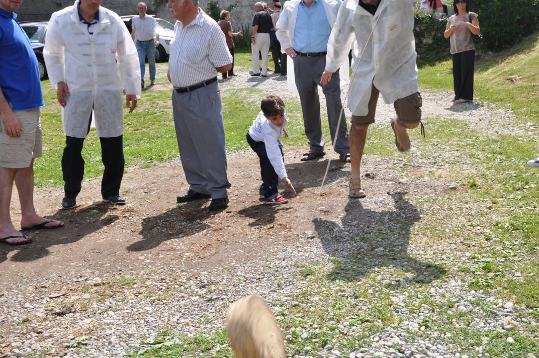 raduno2010