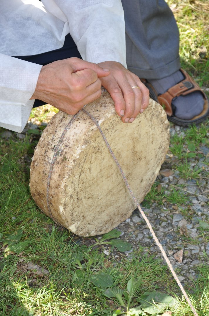 raduno2010