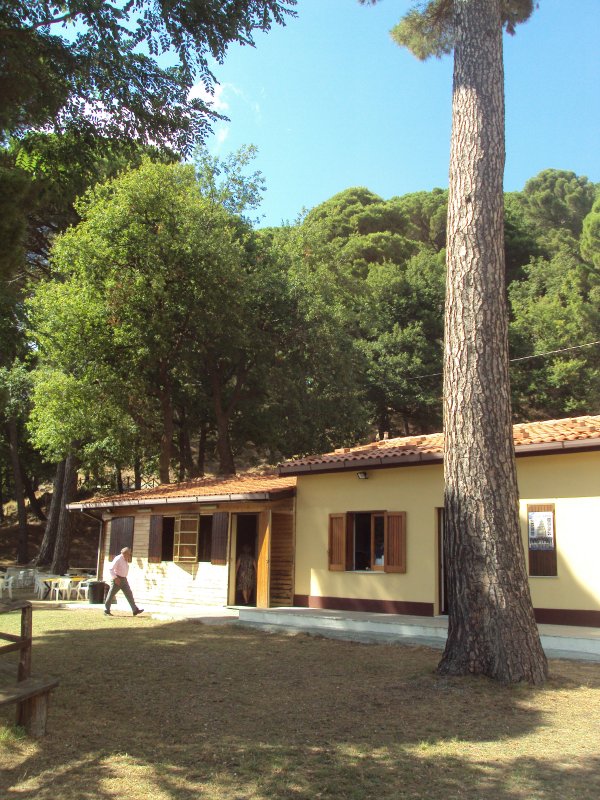 raduno2012