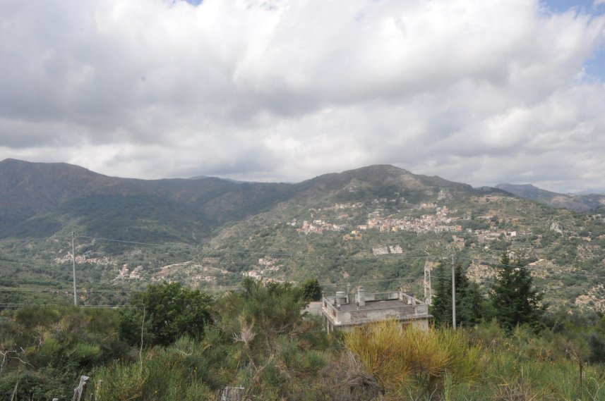 raduno2012